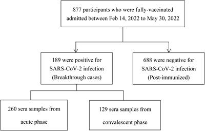 Kinetics of SARS-CoV-2 neutralizing antibodies in Omicron breakthrough cases with inactivated vaccination: Role in inferring the history and duration of infection